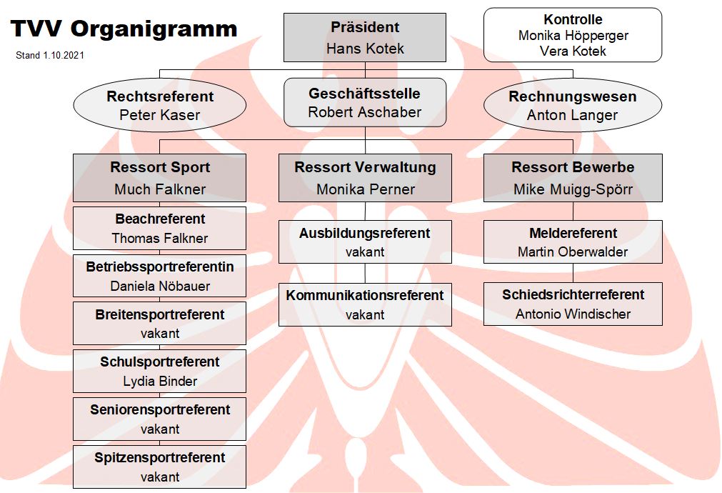 Organigramm